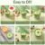 Plastic Ice Candy Maker – Reusable 8 Mold Set for Summer Treats