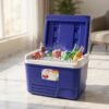Portable 6L Ice Cooler Box – Keeps Drinks Chilled Outdoors