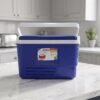 Portable 6L Ice Cooler Box – Keeps Drinks Chilled Outdoors