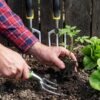 Garden Hand Fork 3 Tine Stainless Steel Digging Tool Ergonomic Handle (1 Pc)