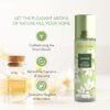 Jasmine Room & Car Freshener Spray – Long-Lasting Floral Fragrance