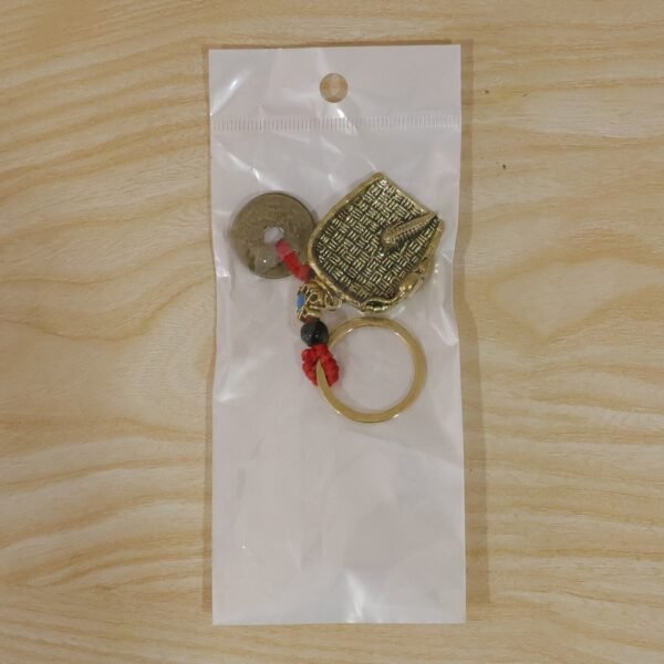 Feng Shui Lucky Coin Keychain – Prosperity and Good Fortune