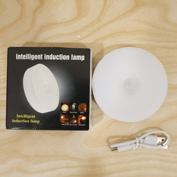 Motion Sensor LED Light, Rechargeable Wireless Night Light with PIR Sensor (1 Set)