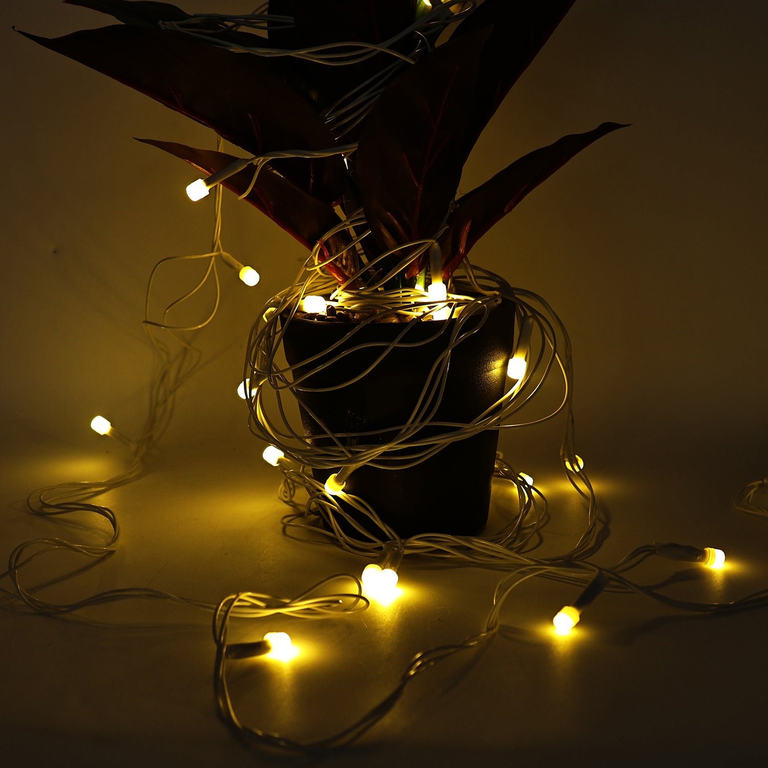 Warm LED String Lights – 8 Meter Decorative Fairy Light