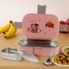Kids Lunch Box – Stainless Steel Tray & Leak-Proof Snack Pot