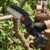Mini Electric Cordless Chainsaw with 48V Battery for Wood Cutting (1 Set)