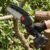 Mini Electric Cordless Chainsaw with 48V Battery for Wood Cutting (1 Set)