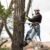 MiniFoldingSaw-02 Folding Saw – Sharp 210mm Stainless Steel Blade for Pruning & Outdoor Use