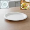 Disposable Round Food Serving Plate – 10 Pc Lightweight Set