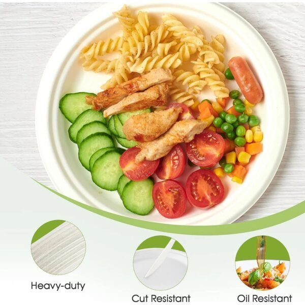 Disposable Round Food Serving Plate – 10 Pc Lightweight Set