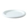 Disposable Round Food Serving Plate – 10 Pc Lightweight Set
