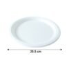 Disposable Round Food Serving Plate – 10 Pc Lightweight Set