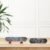 Wood Skateboard – Lightweight & Durable for All Ages | Konex