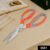 Multi-Function Kitchen Scissors – Stainless Steel Shears | Own Hydrate