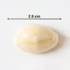 Natural Kaudi Cowrie Shells – Ideal for Pooja & Decor