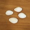 Natural Kaudi Cowrie Shells – Ideal for Pooja & Decor