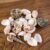 Natural Decorative Seashells Set – Coastal Charm for Home Decor