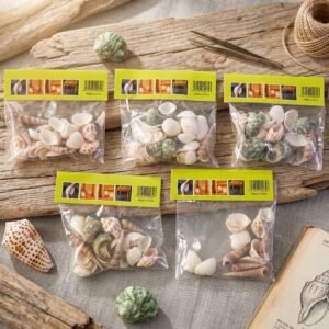 Natural Decorative Seashells Set – Coastal Charm for Home Decor
