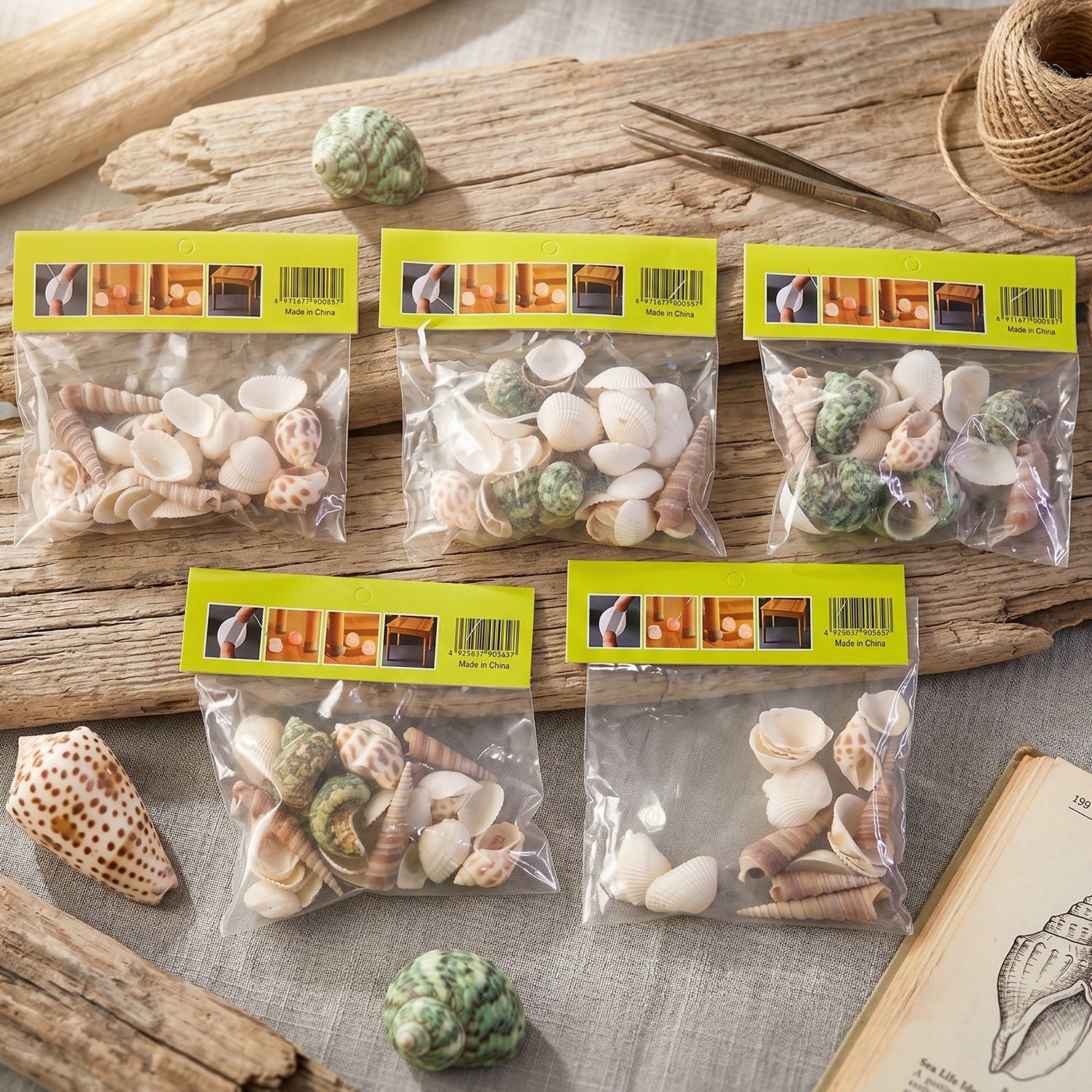 Natural Decorative Seashells Set – Coastal Charm for Home Decor