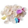 Decorative Seashells Set – Natural Vase Fillers for Home Decor