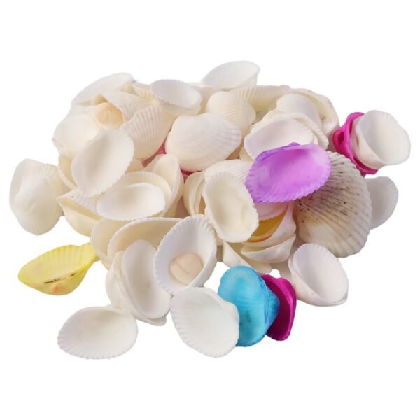 Decorative Seashells Set – Natural Vase Fillers for Home Decor