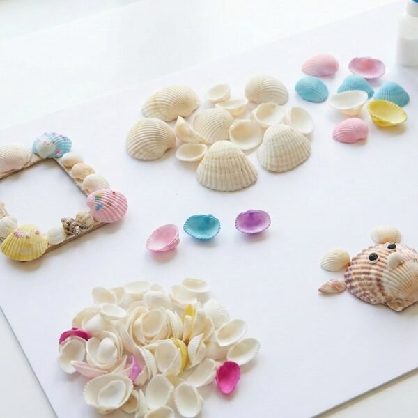 Decorative Seashells Set – Natural Vase Fillers for Home Decor