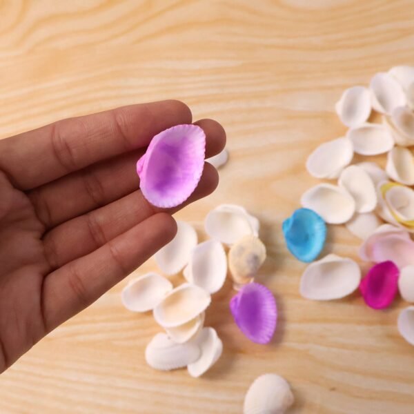 Decorative Seashells Set – Natural Vase Fillers for Home Decor