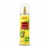 Signature-Sandalwood-air-Freshener-04 Sandalwood Room & Car Freshener – Long-lasting Natural Fragrance
