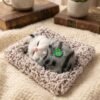Cute Plush Cat Showpiece – Perfect for Car & Home Decor