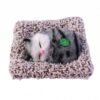 Cute Plush Cat Showpiece – Perfect for Car & Home Decor