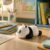 Sleeping Panda LED Night Light, Cute Silicone Bedside Lamp for Kids (1 Pc)