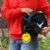 Luggage Tag – Bright Emoji Design for Easy Identification