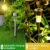 Solar Lawn Lamp Set – Eco-Friendly Stainless Steel Outdoor Lights