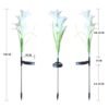 Solar Garden Flower Lights – Set of 2 Vibrant Multicolour LEDs