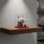 Solar Powered Moving Hand Panda Showpiece – Cute Waving Desk Decor