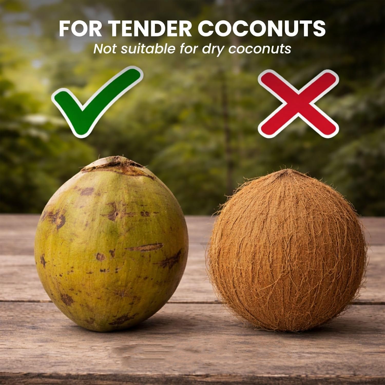 Coconut Breaker – Stainless Steel with Comfortable T-Handle Grip