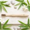 Soft Bristle Bamboo Toothbrush, Eco-Friendly Wooden Toothbrush for Travel (1 Pc)