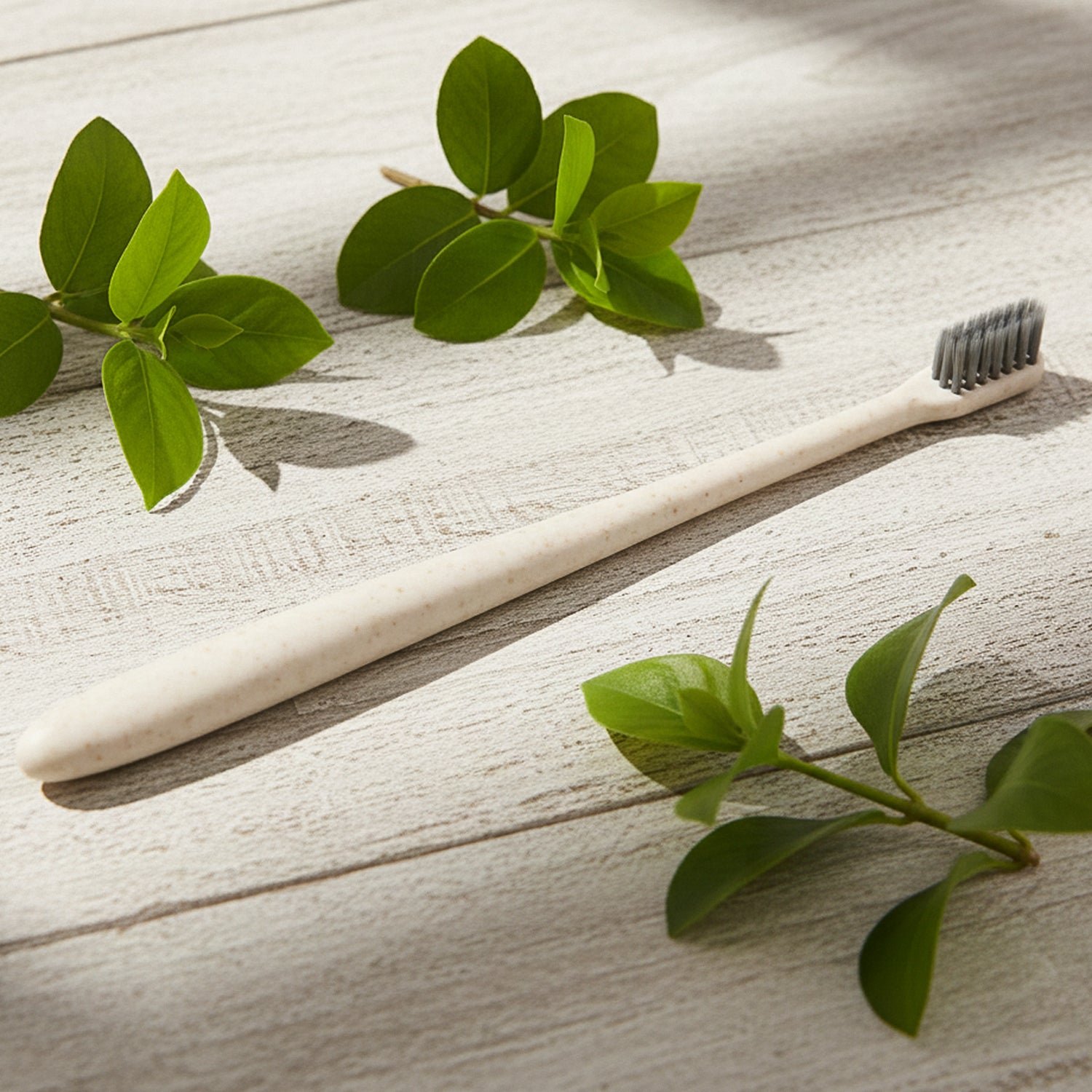 Toothbrush-03_6c64635a-3f3e-4144-a199-4e27a46f909a Soft-bristle Toothbrush – Wheat Straw for Gentle Care | MintGuard
