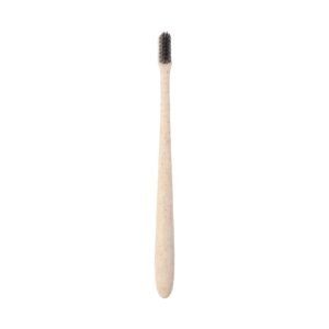 Soft-bristle Toothbrush – Wheat Straw for Gentle Care | MintGuard