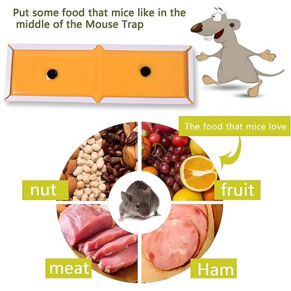 Cardboard Mouse Trap – Small Size Glue Trap for Effective Rodent Control