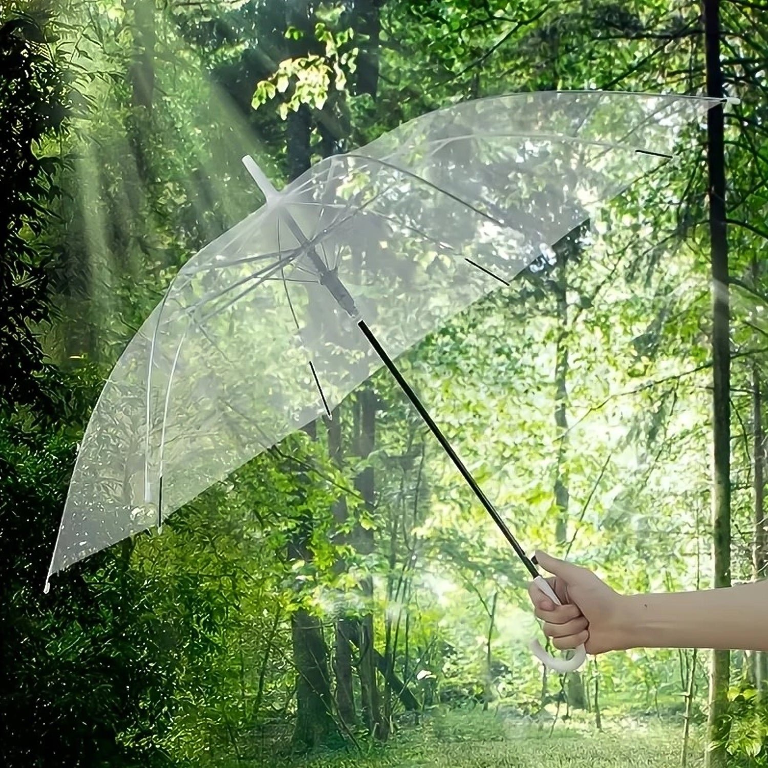 Transparent Dome Umbrella – Windproof with Comfortable Curved Handle