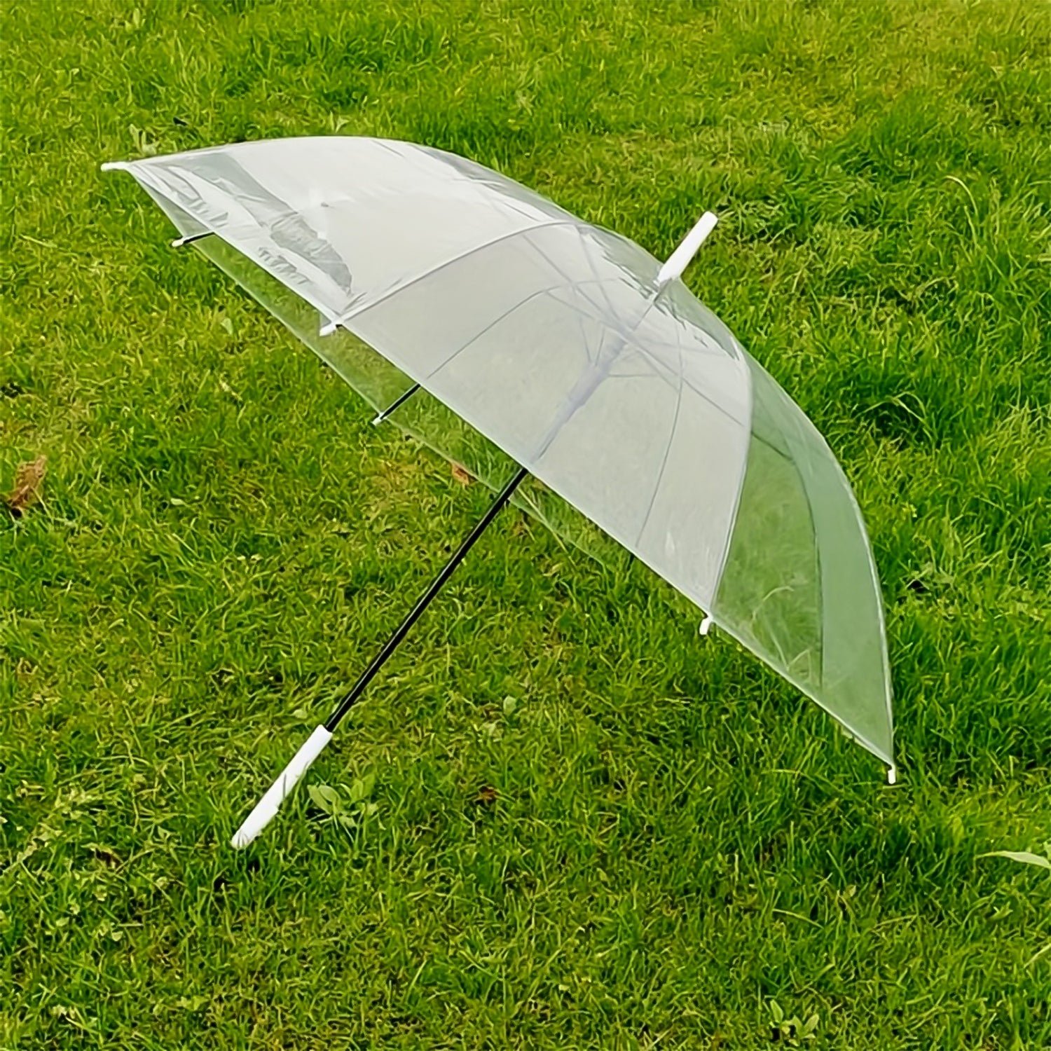 Transparent Dome Umbrella – Windproof with Comfortable Curved Handle