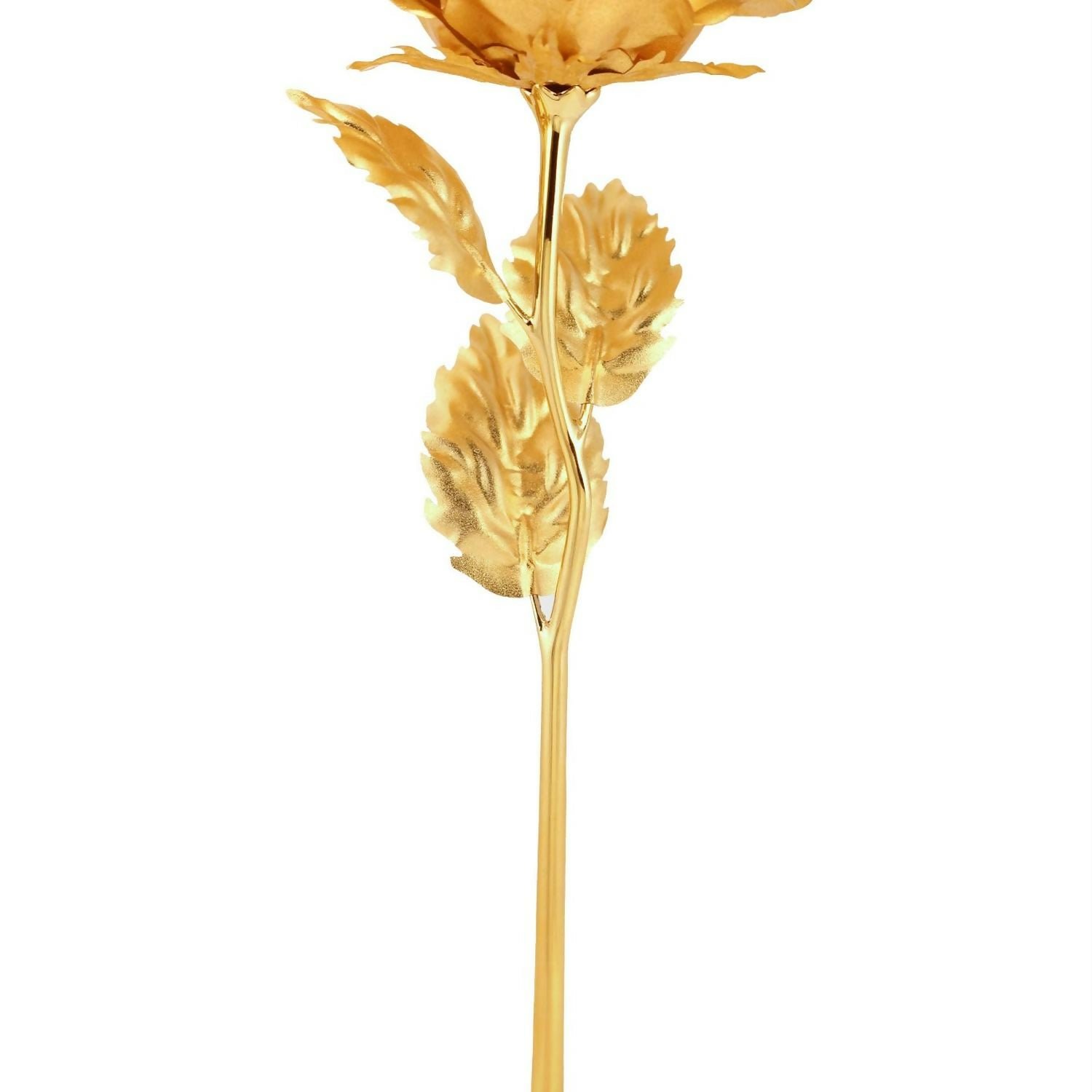 Golden Rose Decoration Set – Elegant 3-Piece Mix Color Display