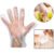 Disposable Clear Gloves – Powder-Free, Latex-Free | Grow Wear