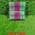 Cloth Drying Clips – Multicolor Plastic Laundry Pegs | BathNova