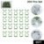 Plant Climbing Clips – Self-Adhesive Wall Support | Grow Vanta