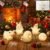 Animal LED Night Lamp – Cute Multi-Shape Set (6 Pc) | Indo Glow