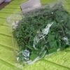 Plant Climbing Clips – Self-Adhesive Wall Support | Grow Vanta