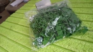 Plant Climbing Clips – Self-Adhesive Wall Support | Grow Vanta