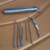 Stainless Steel Toothpick Set – 7-in-1 Portable Dental Kit | AuriGlam